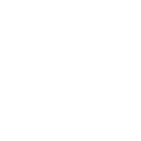 fondeicon